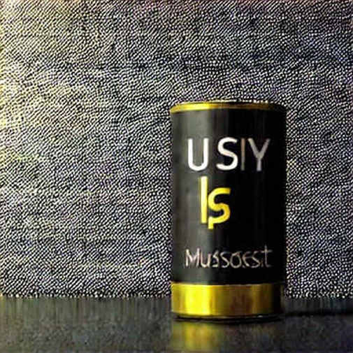 The Fragile Edge of Narrative: Why Geopolitical Crises Don't Forge Digital Gold The Fragile Edge of Narrative: Why Geopolitical Crises Don't Forge Digital Gold