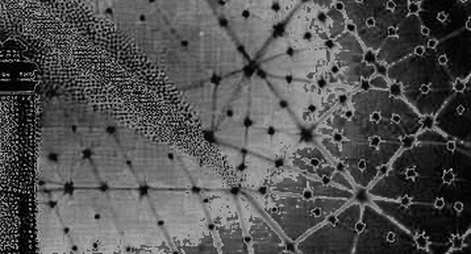 The Ghost Dataset: When an Empty Parse Reveals the Real Story